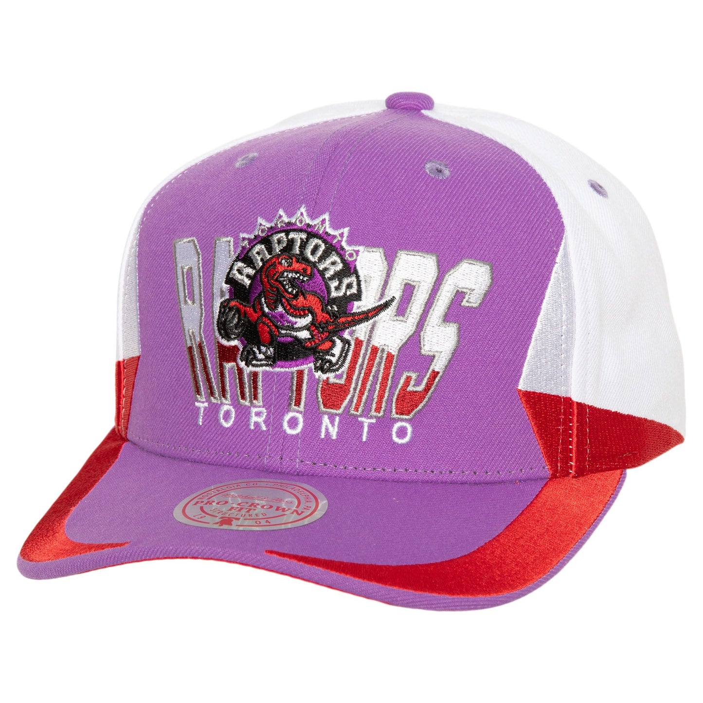Mitchell & nesss cap raptors