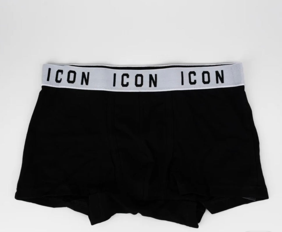 Icon boxer