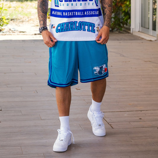 mitchell & ness short charlotte