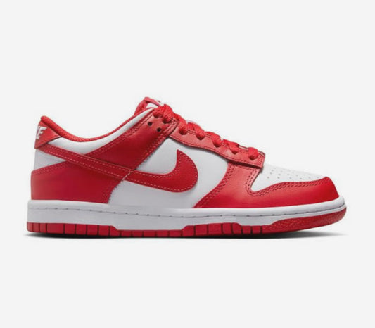 Nike dunk low kids